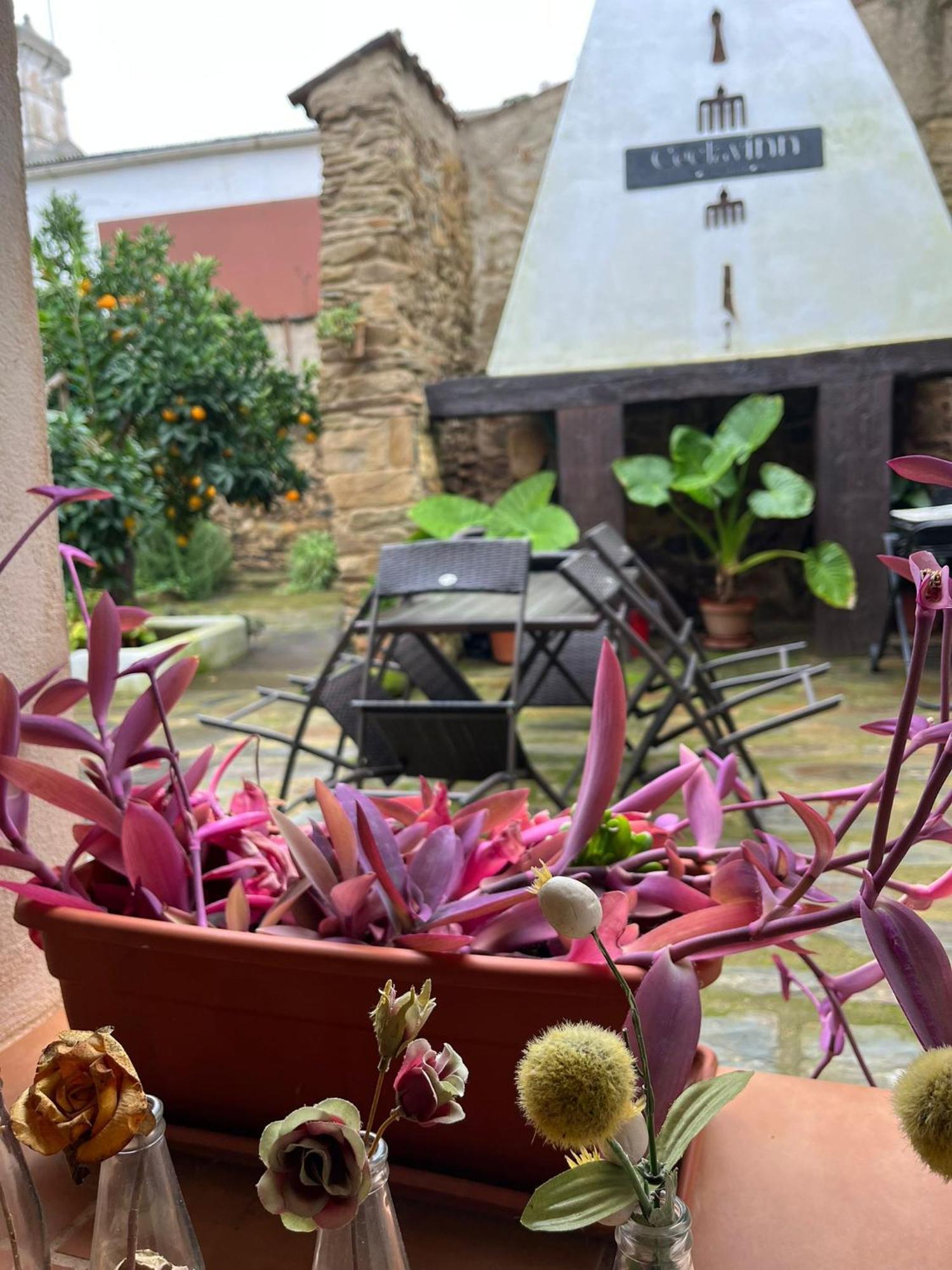 Ceclavinn Casa Rural ภายนอก รูปภาพ
